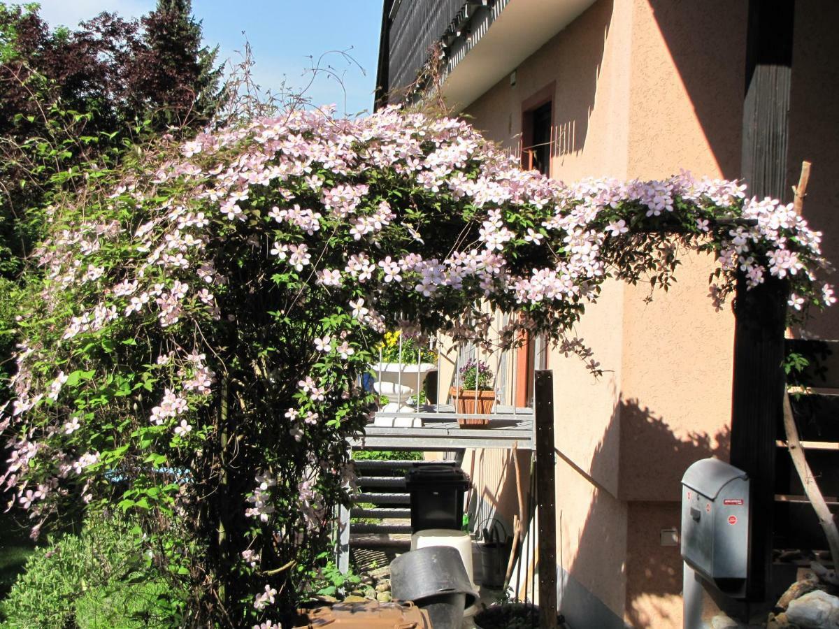 Bellairis Apartment Igersheim Exterior photo